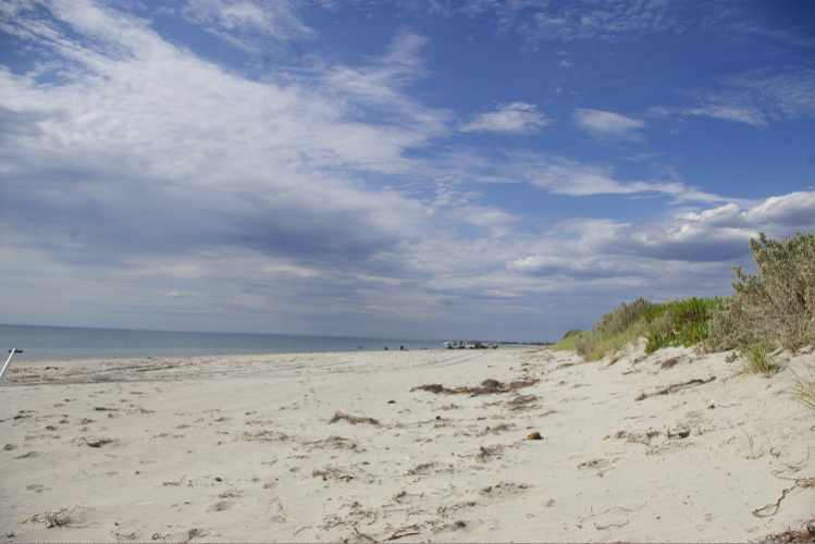 The Kingston Lifestyle